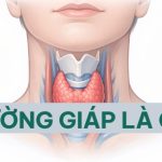 cuong-giap-la-gi-bs-tran-thanh-vy