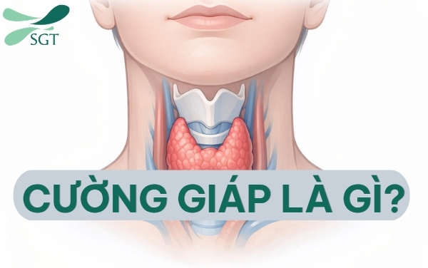 cuong-giap-la-gi-bs-tran-thanh-vy