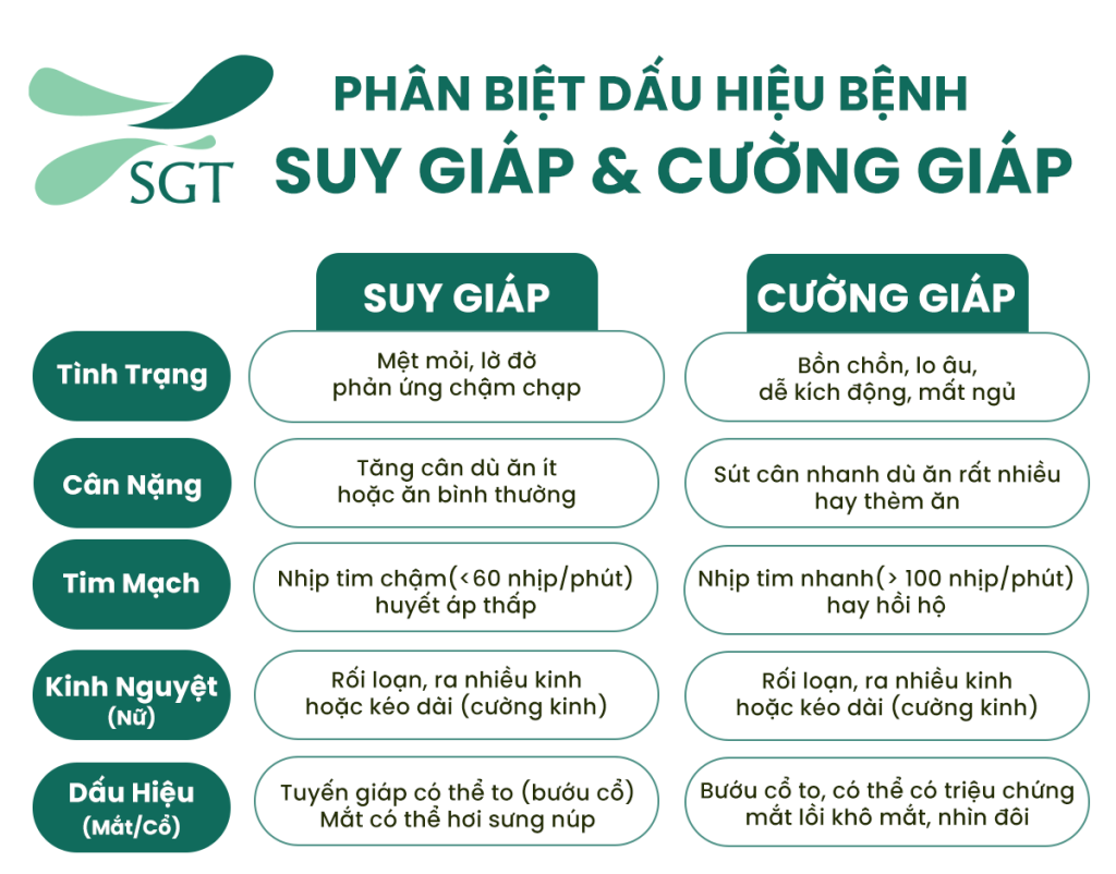 phan-biet-suy-giap-va-cuong-giap-phong-kham-chuyen-khoa-buou-co-sai-gon