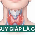 suy-giap-la-gi-pgs-tran-thanh-vy
