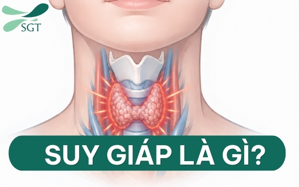 suy-giap-la-gi-pgs-tran-thanh-vy